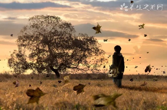 最美警察！女警森林发现弃婴 为其哺乳获赞