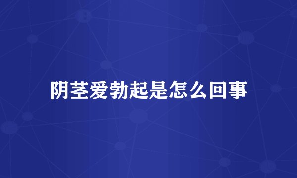 阴茎爱勃起是怎么回事