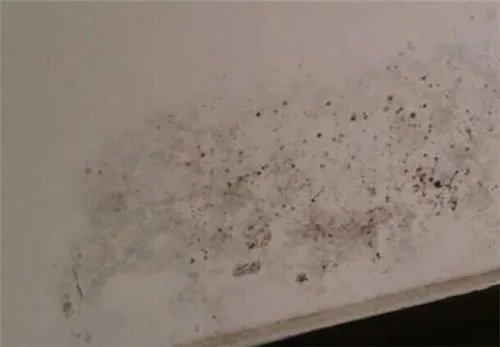 外墙渗水到内墙如何从内墙补救