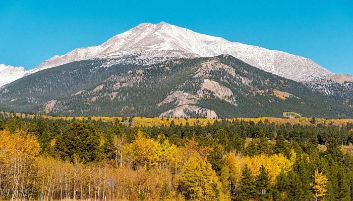 2022年5月1日高速免费吗 2022年5.1高速免过路费吗