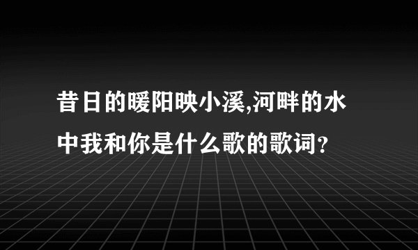 昔日的暖阳映小溪,河畔的水中我和你是什么歌的歌词？