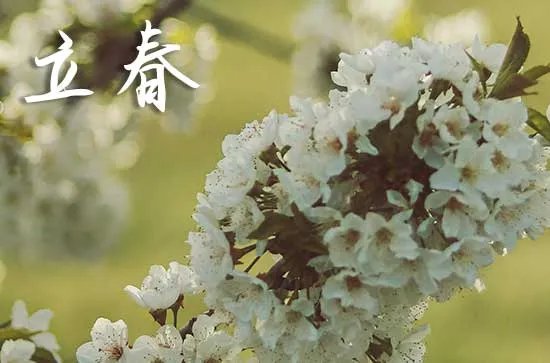 立春节气的诗词