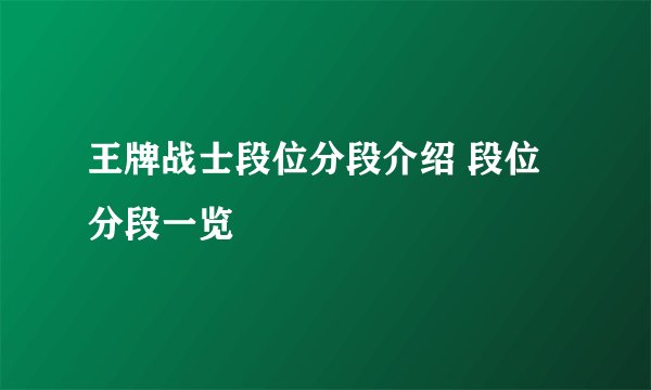 王牌战士段位分段介绍 段位分段一览