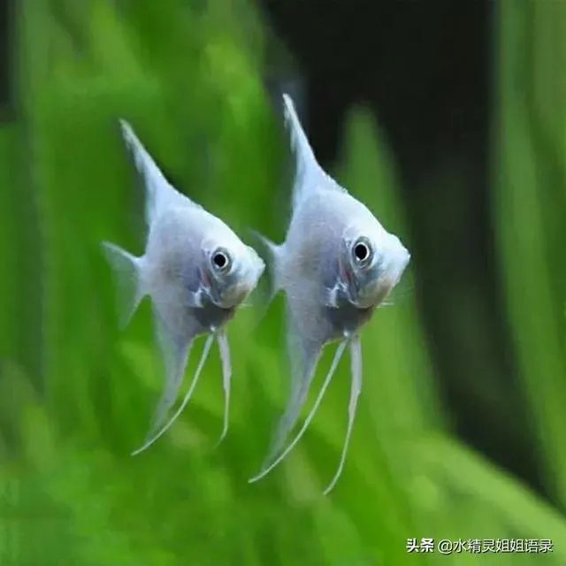 病毒出现变异！戴口罩能防住吗？