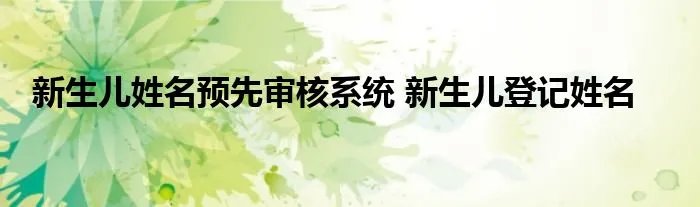 新生儿姓名预先审核系统 新生儿登记姓名