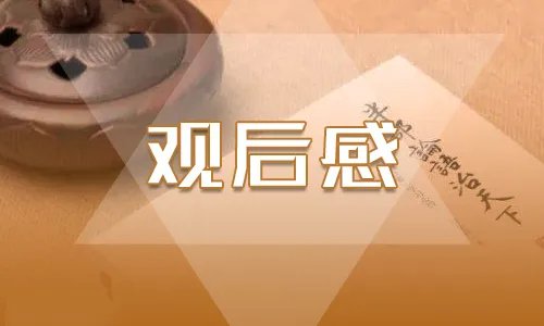 《同上一堂课》观后感学习心得5篇