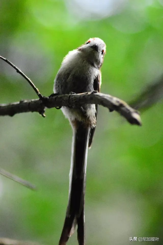 低端单反存在的意义是什么？