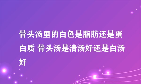 骨头汤里的白色是脂肪还是蛋白质 骨头汤是清汤好还是白汤好