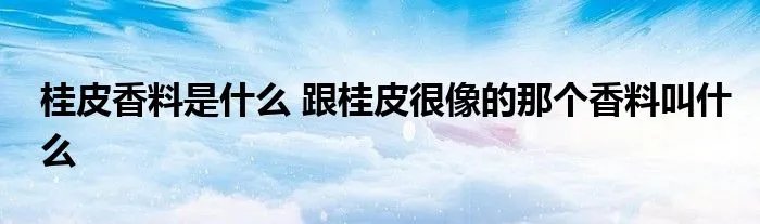 桂皮香料是什么 跟桂皮很像的那个香料叫什么