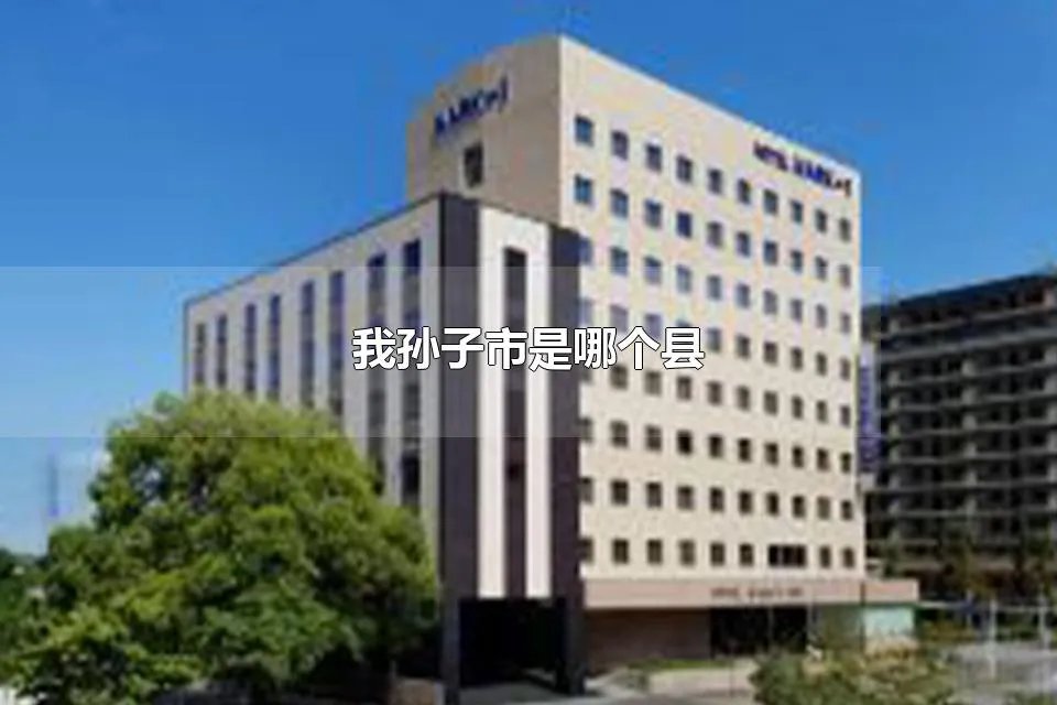 我孙子市是哪个县 我孙子市离东京多远