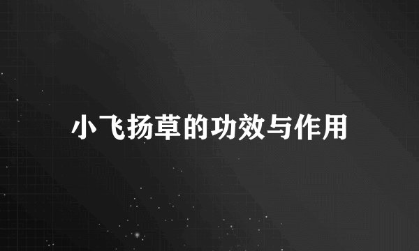 小飞扬草的功效与作用