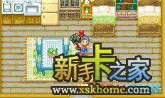 牧场物语矿石镇的伙伴们真实之玉获得方法及作用