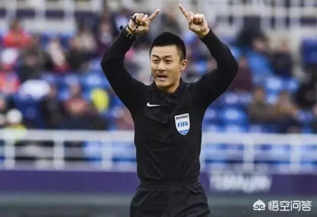 足协在中超动员会上宣布2019赛季将推出职业裁判制度，你觉得这样能避免黑哨？