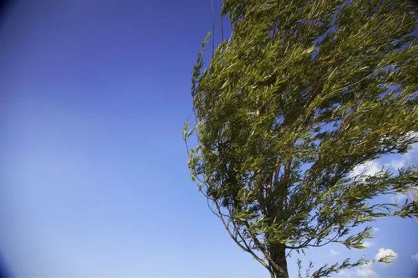 江苏南通突遭极端灾害天气，是否有造成了人员伤亡？