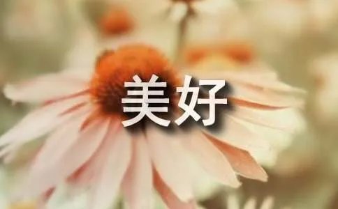 让生活更美好作文500字