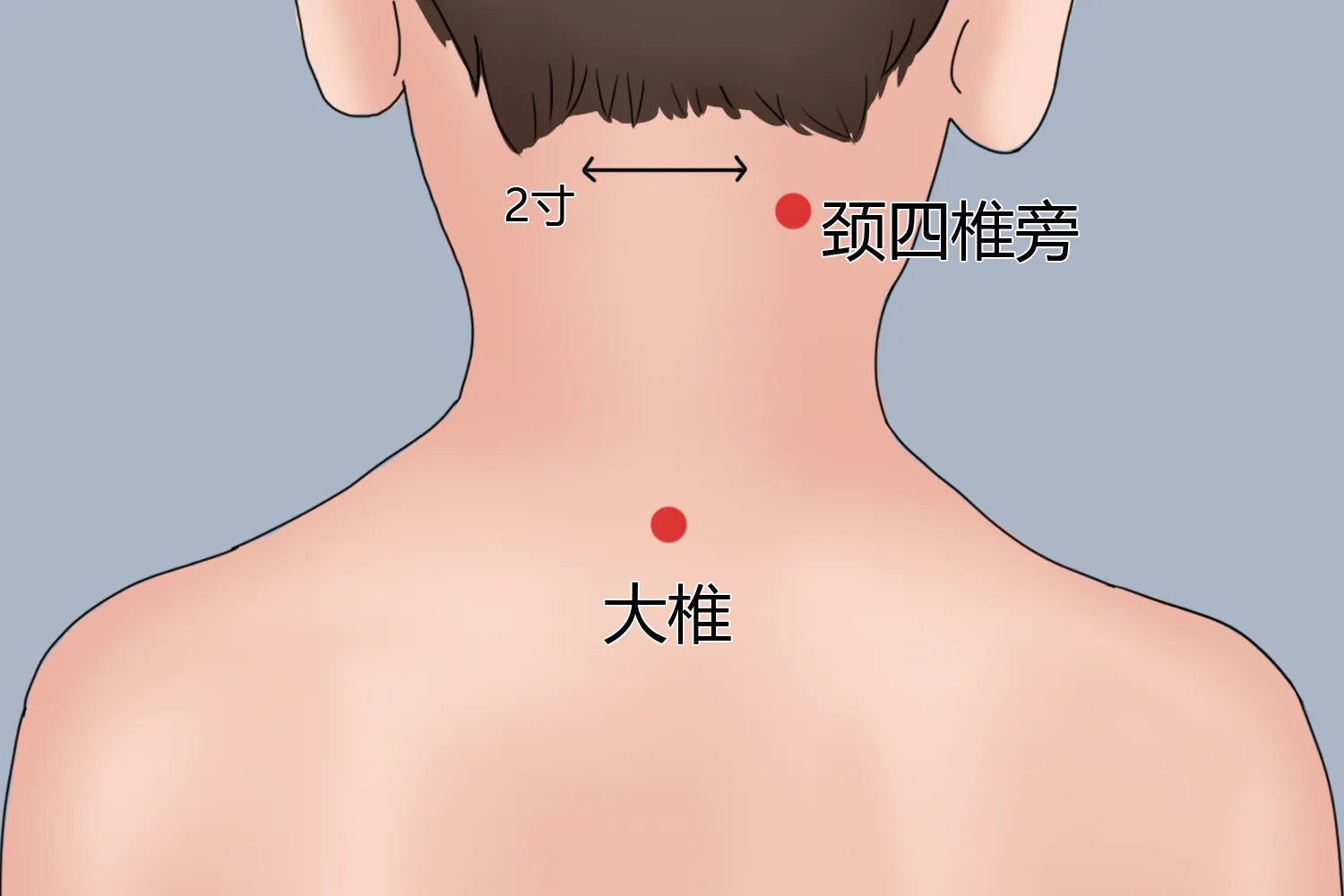 宝宝三伏贴贴在哪个位置图片