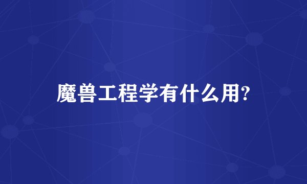 魔兽工程学有什么用?