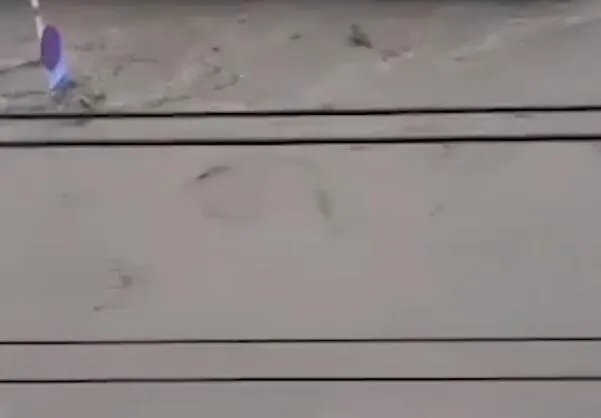 洪水袭来妻子遇难前发诀别短信 好好找找还有一点存款