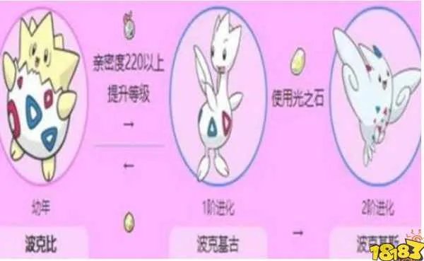 宝可梦剑盾波克比怎么进化 波克比进化方法