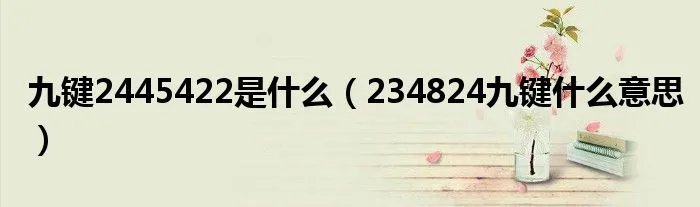 九键2445422是什么（234824九键什么意思）