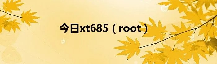 今日xt685（root）