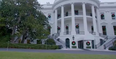 杰克逊木兰树将被砍为何受到如此大的关注呢？