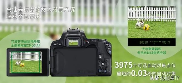 低端单反存在的意义是什么？