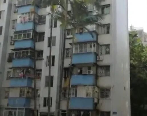 开发商回应遗忘28年房屋被占说了什么 开发商回应遗忘28年房屋被占具体内容