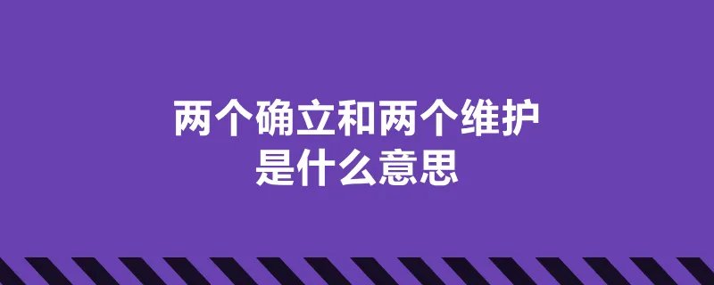 两个确立和两个维护是什么意思