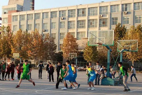 四川两男孩离家出走树上待了两天两夜,他们为何离家出走?