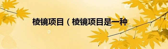 棱镜项目(棱镜项目是一种