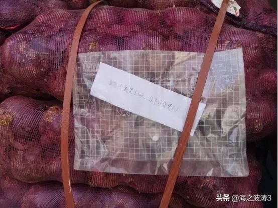 女子买一吨洋葱送前男友，声称：我哭够了，该你了，怎么回事？