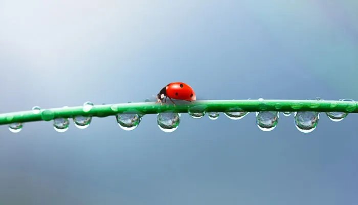 2022年惊蛰是几月几日 2022年惊蛰是哪一天