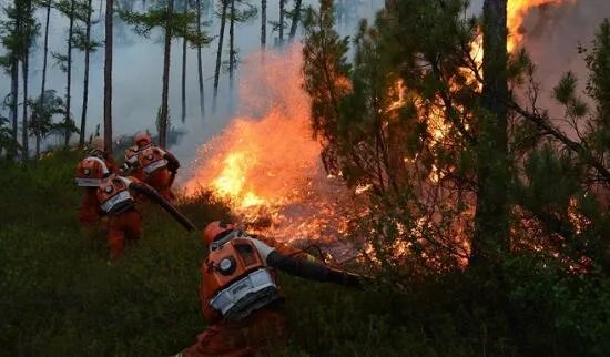 郑州民宅发生火灾有伤亡吗?