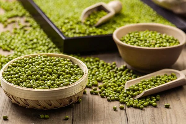 吃药能吃绿豆吗