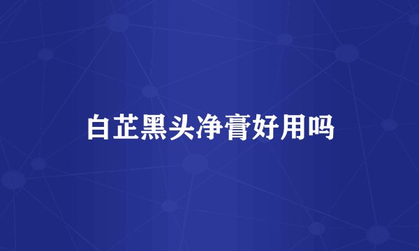 白芷黑头净膏好用吗