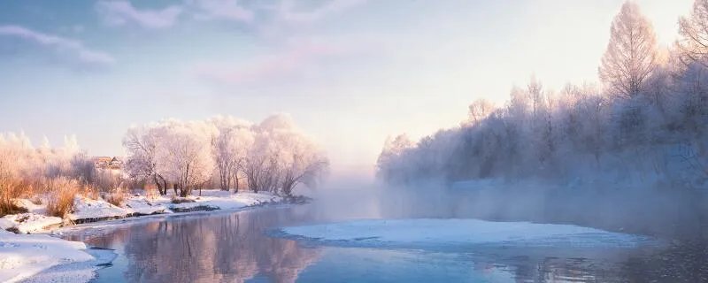 忽如一夜春风来千树万树梨花开的意思