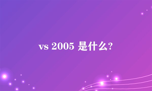 vs 2005 是什么?