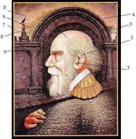 九张人脸的图片