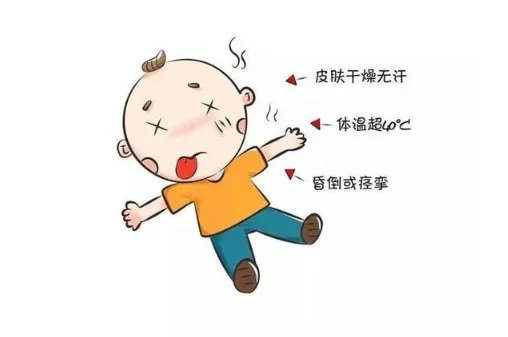 东京本月超100人因中暑死亡,中暑为何也会致死吗?