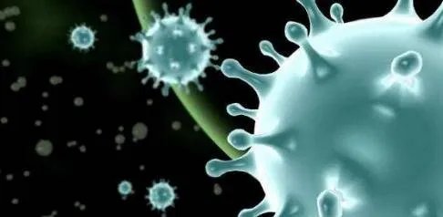 四川逐步取消现场宰杀销售活禽，这是为何？