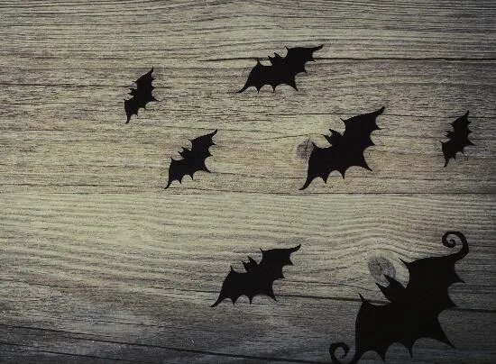 蝙蝠飞进家里预示什么 蝙蝠飞进家里好不好