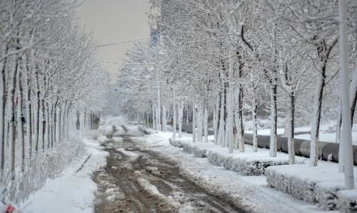 暴雪蓝色预警继续,涉及河北内蒙古等多地,这波暴雪天气会带来哪些影响?