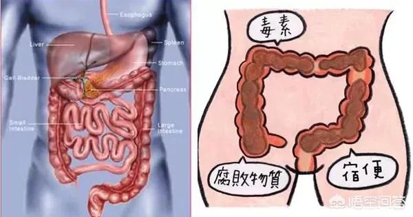 身体出现哪些症状，就说明你该排毒了呢？