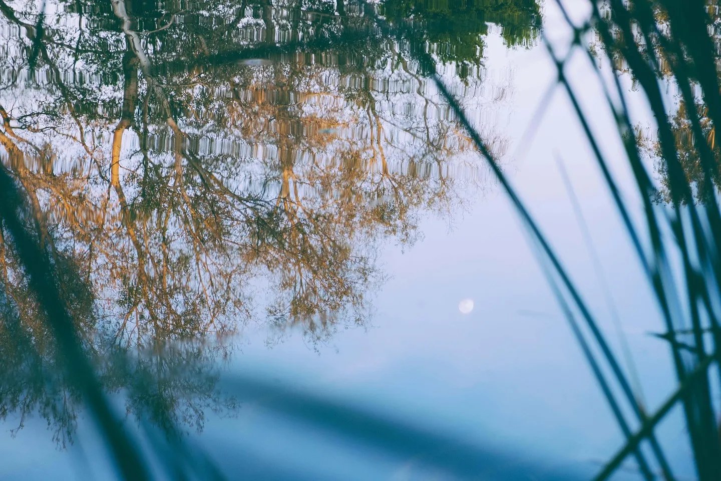 十大优美的中文名及其背后的含义 了解最好听的中文名