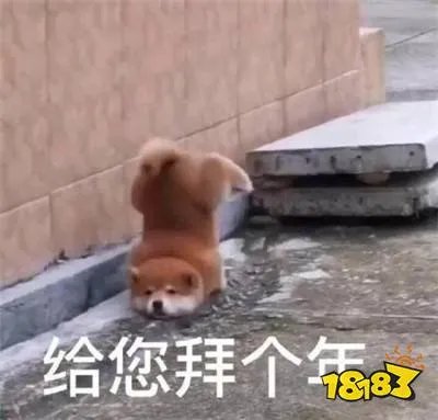 给您拜年了表情包