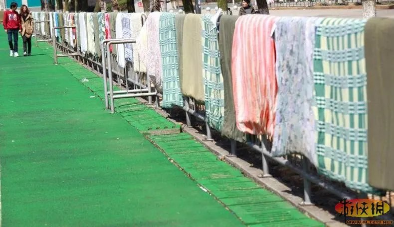 晒没?盘点“中国式晾晒”比“过马路”更壮观