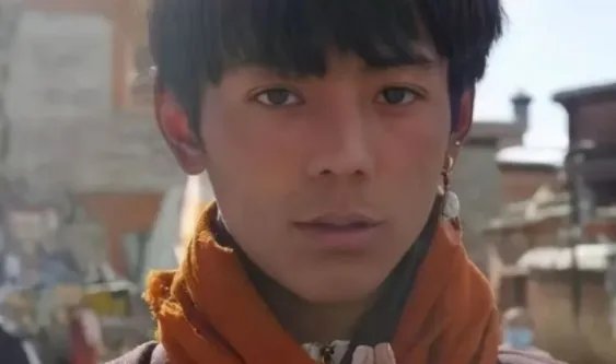 丁真妈妈回应儿子入职国企说了什么？