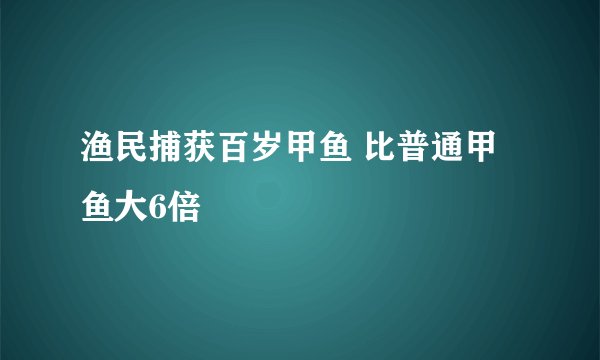 渔民捕获百岁甲鱼 比普通甲鱼大6倍