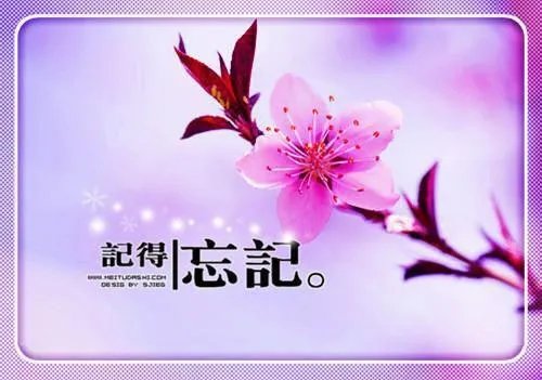 布衣天王宁北完结版 布衣宁北王免费阅读